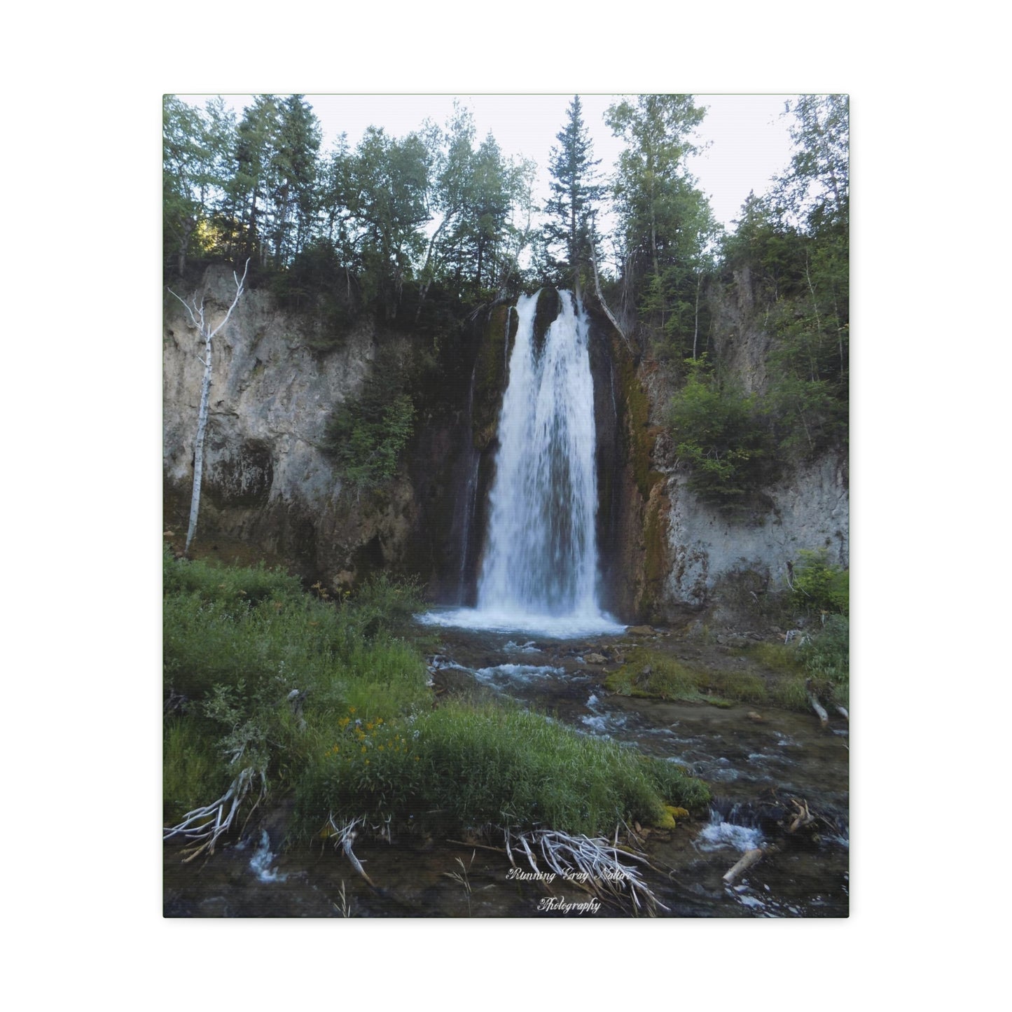 Spearfish Canyon Waterfall Matte Canvas, Stretched, 1.25"