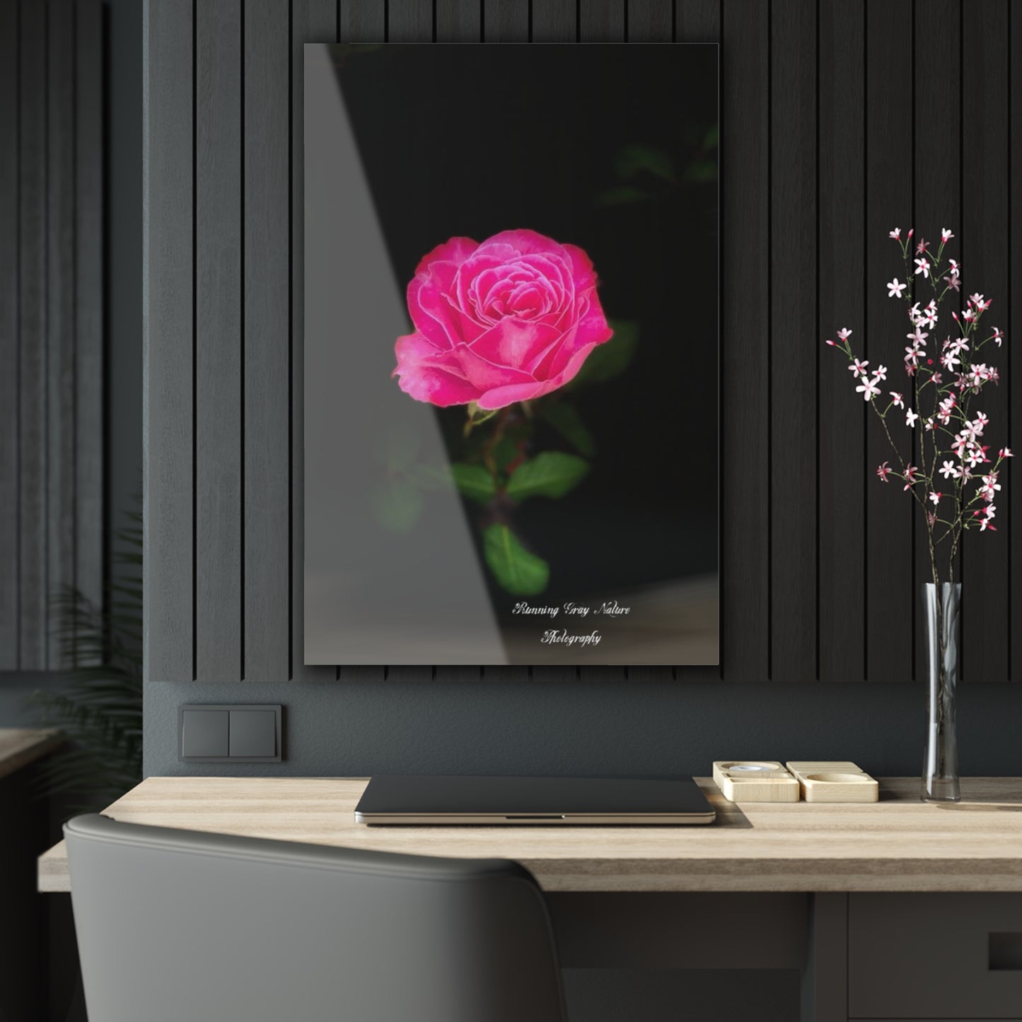 A Pink Peace Rose Acrylic Prints