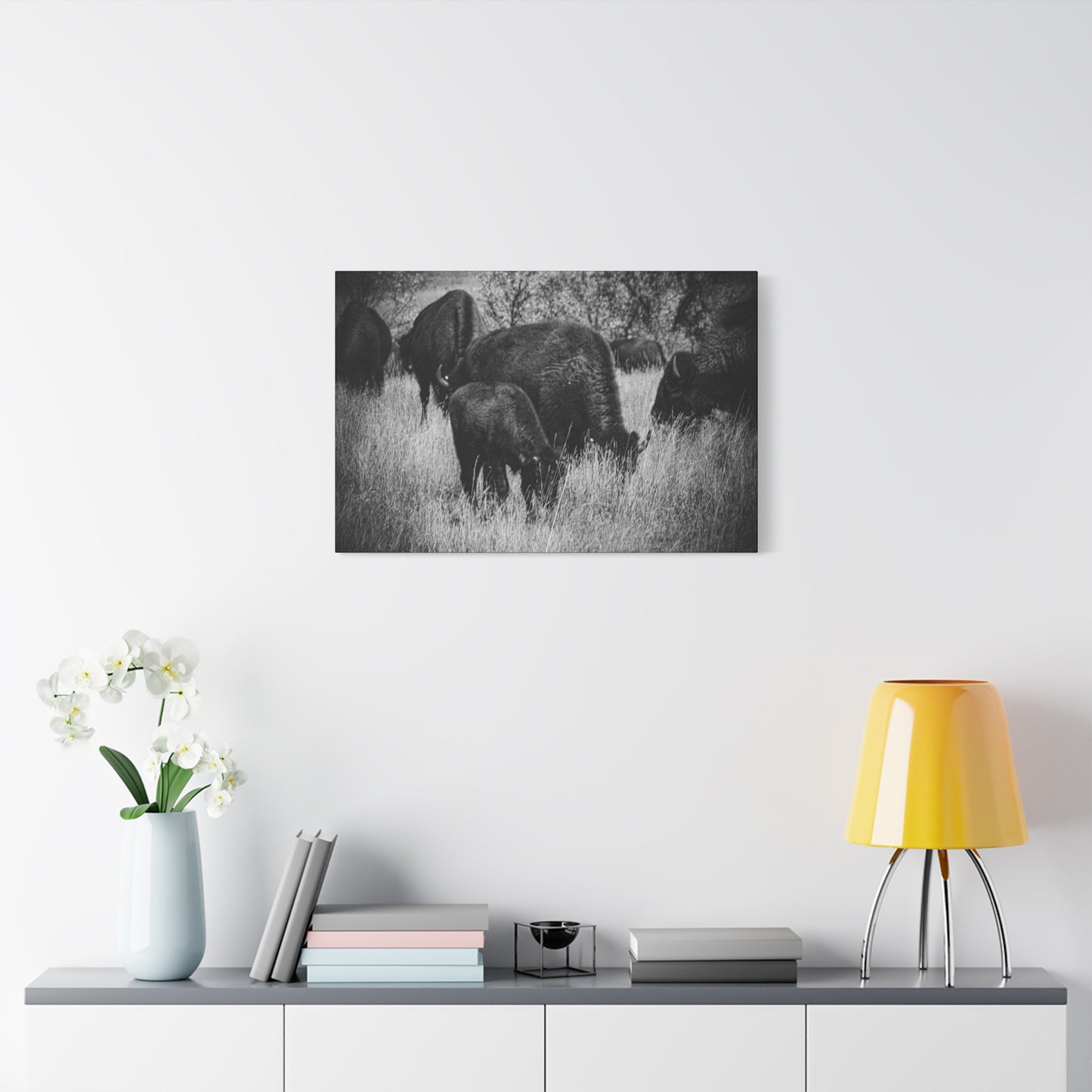 Black and White Buffalo Canvas