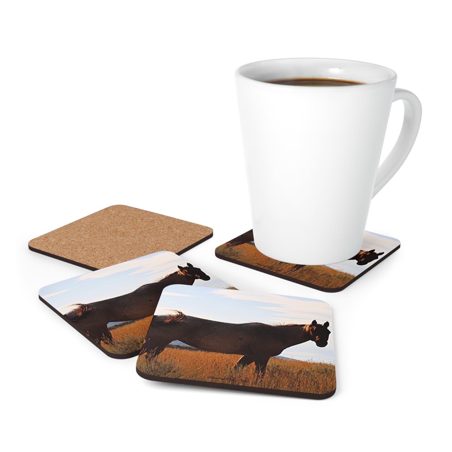 Fly Flicker Corkwood Coaster Set