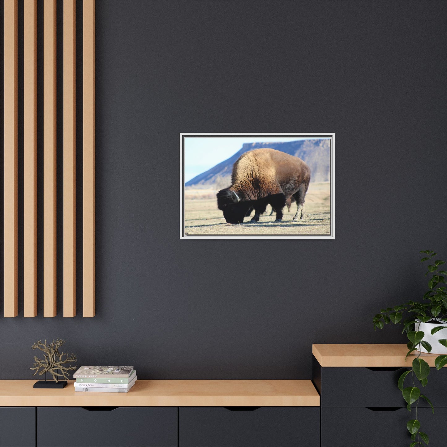 Big Daddy Buffalo Framed Canvas