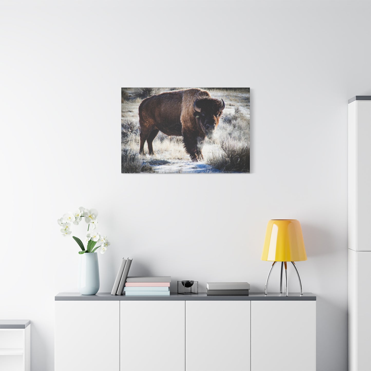 Early Morning Buffalo Canvas