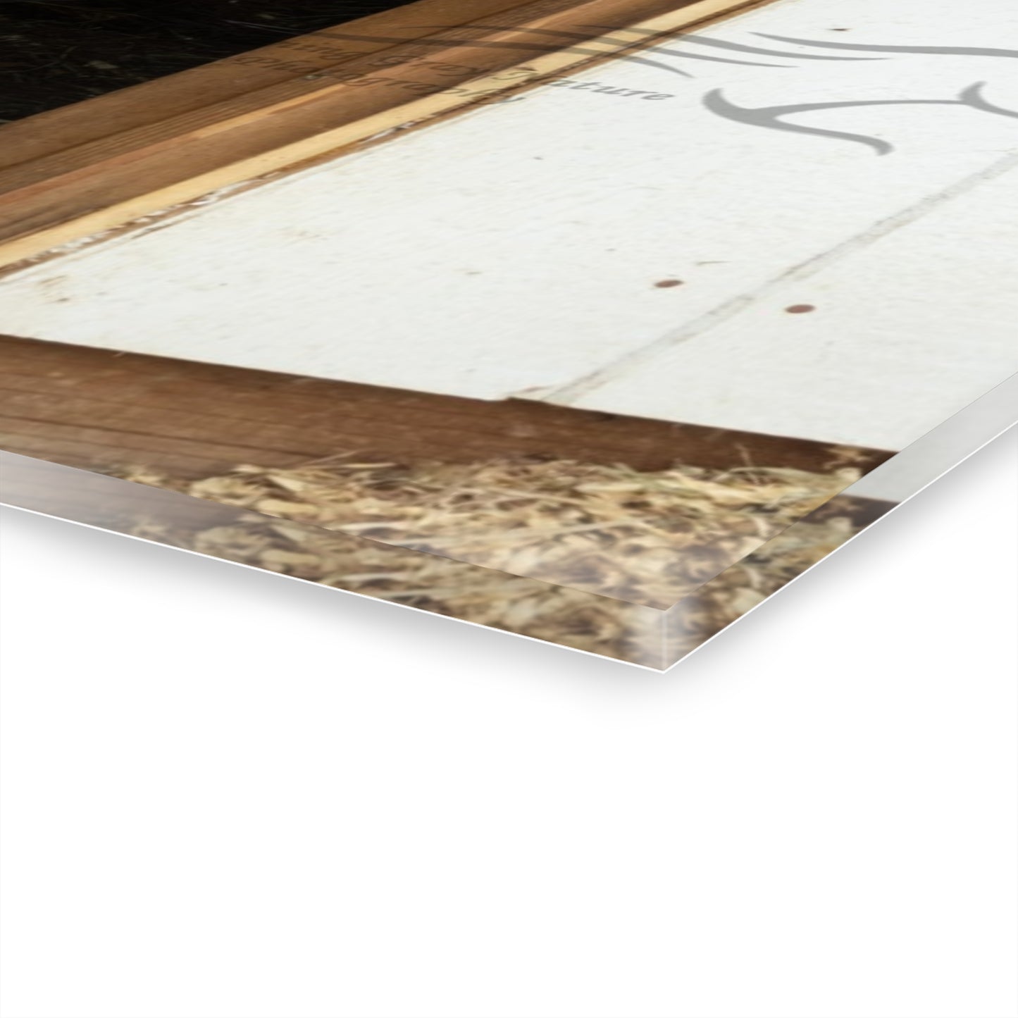 Little Highlander Acrylic