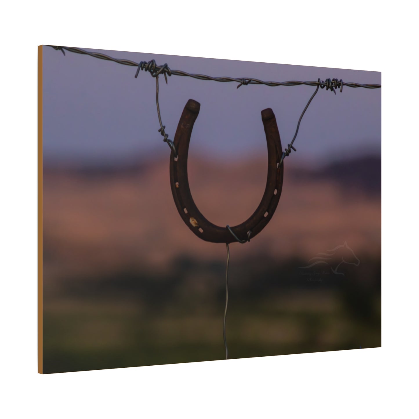 Rustic Horseshoe Canvas
