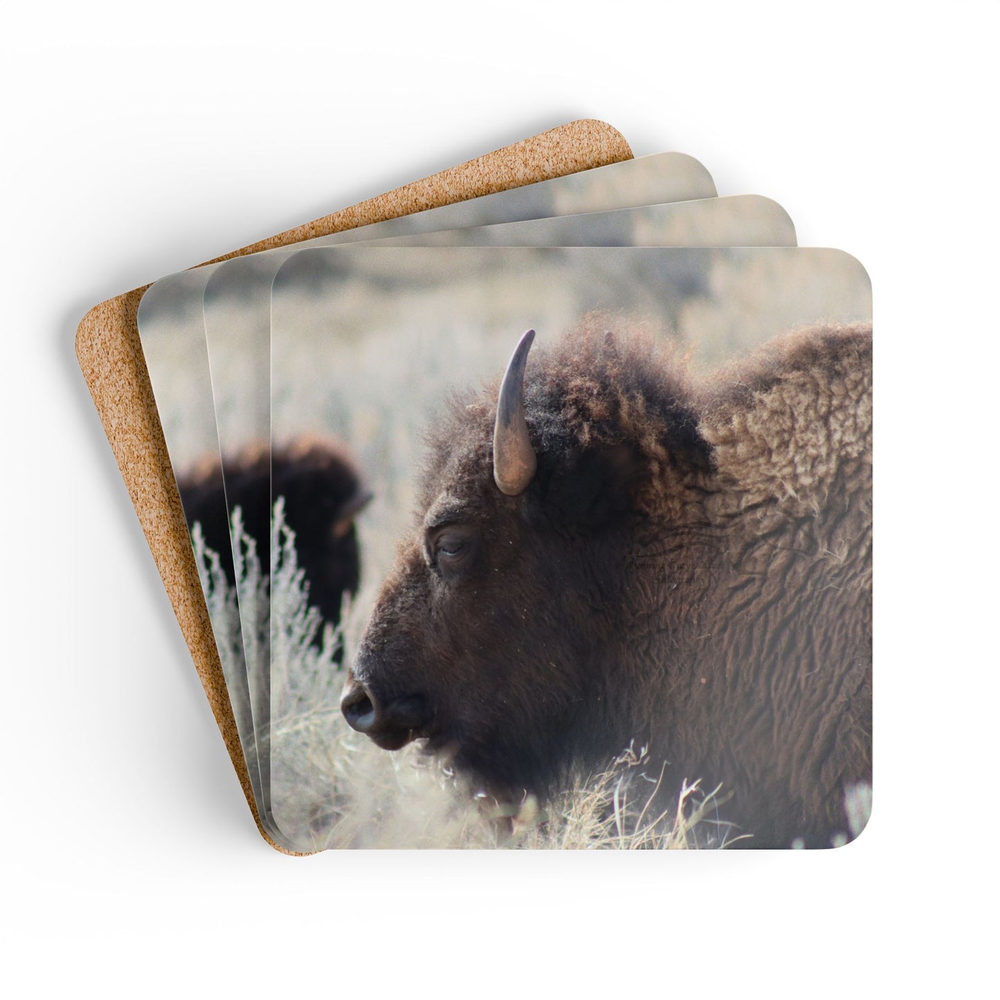 Buffalo Corkwood Coaster Set