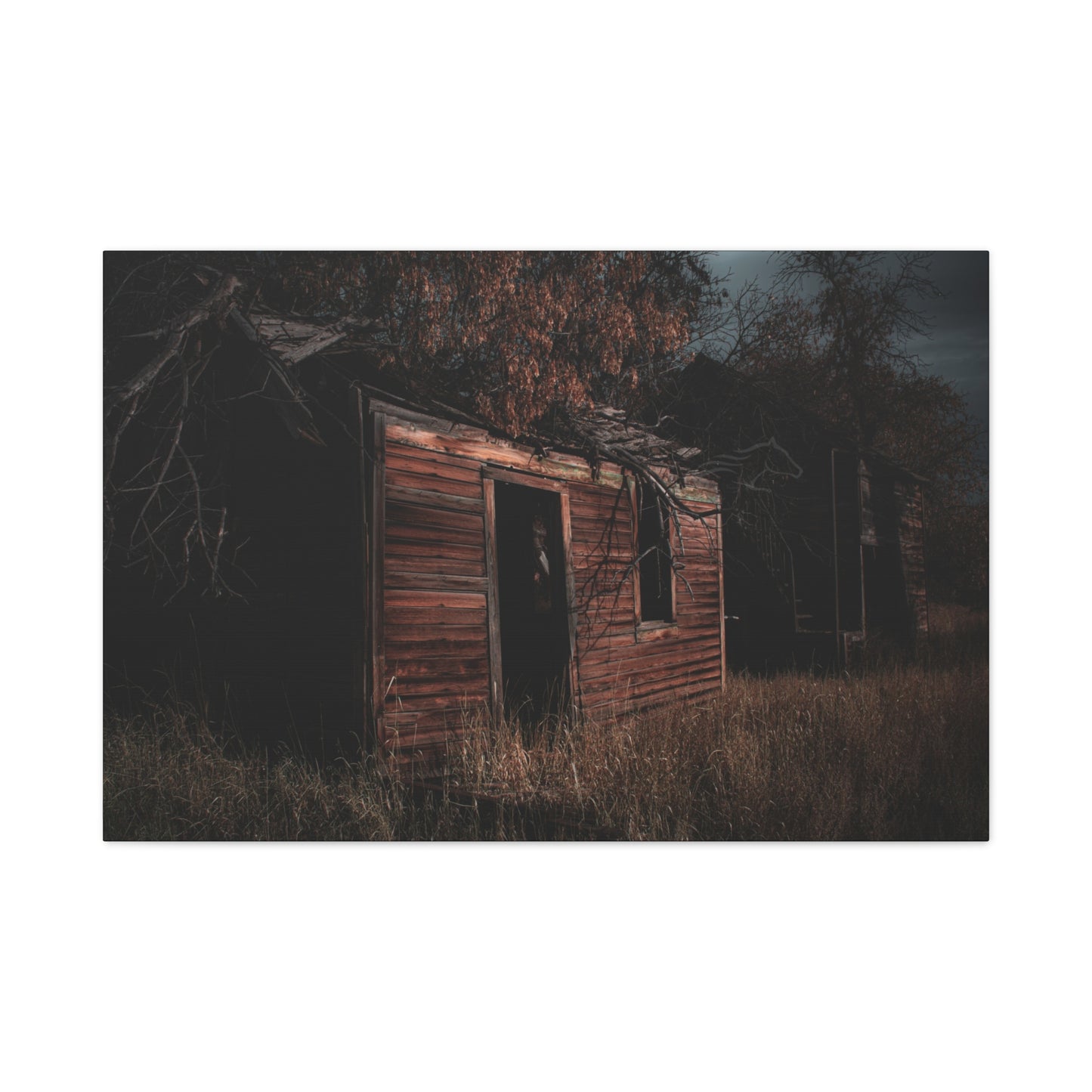 Haunting Rustic Canvas