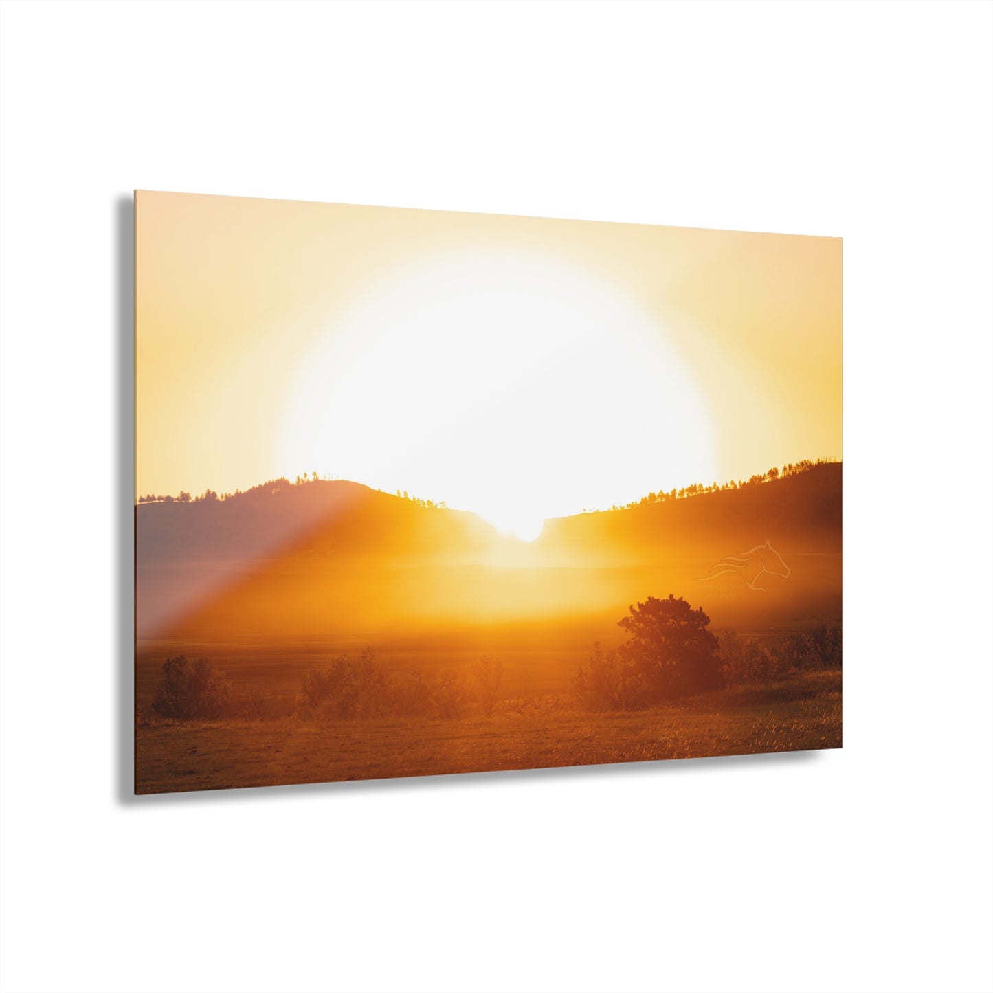 Buffalo Round Up Sunrise Acrylic