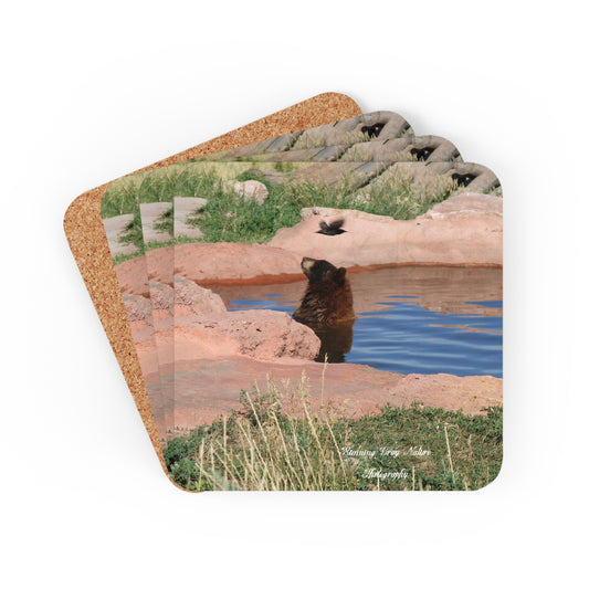 Bird Watching Coaster