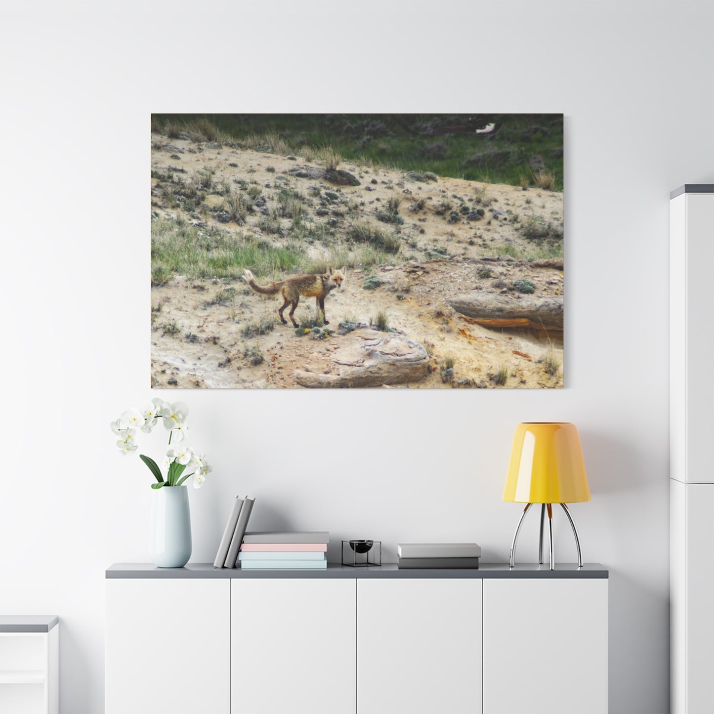 Swift fox and an Eagle