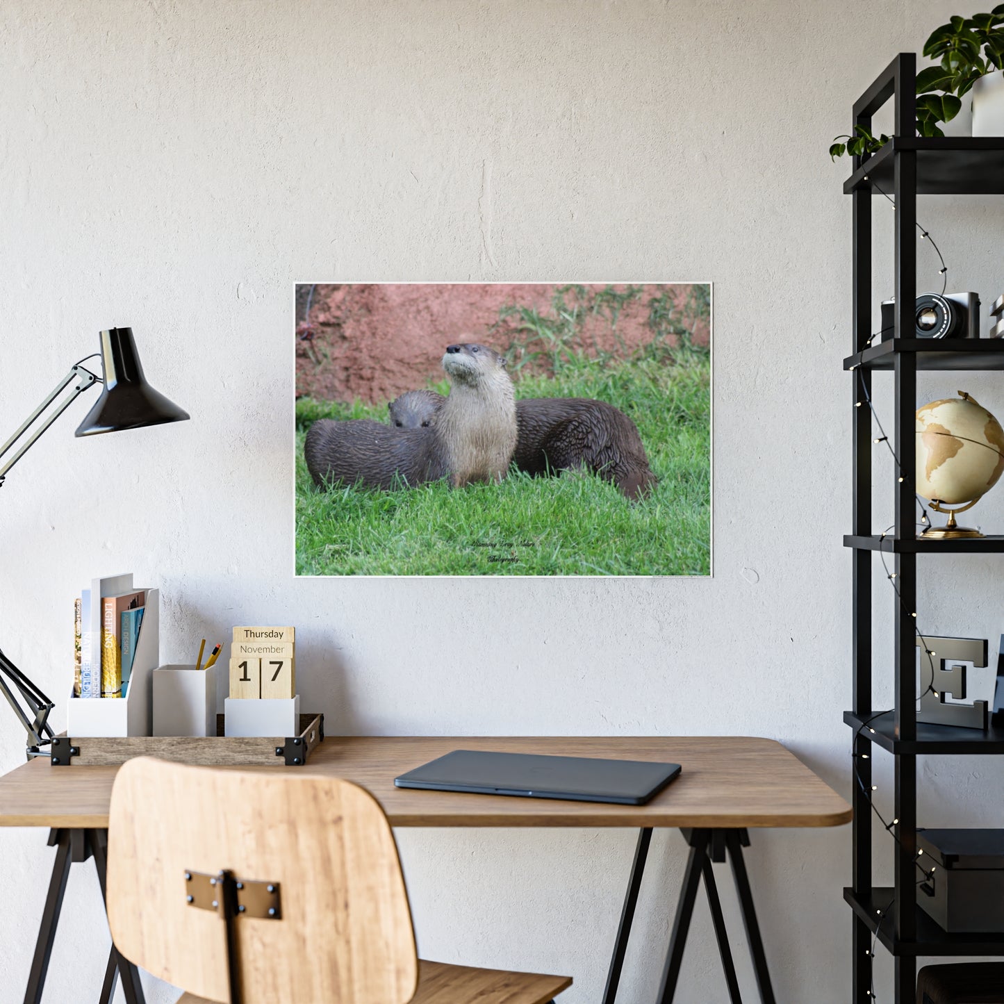 Poster Board Otter Stare