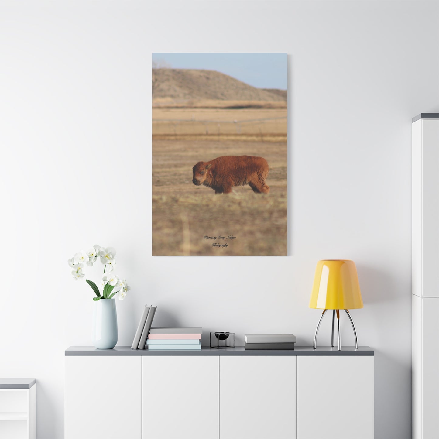 Baby Buffalo Matte Canvas, Stretched, 1.25"