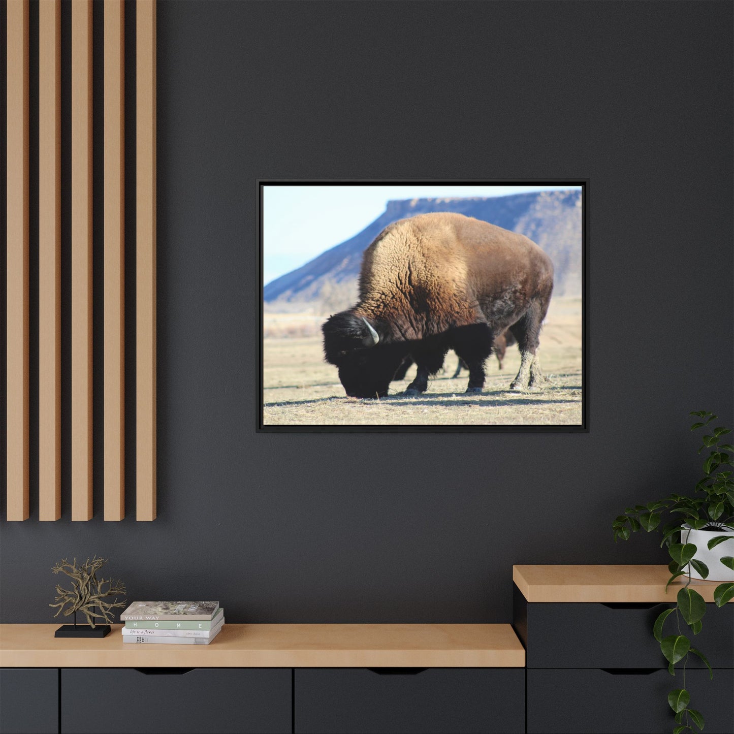 Big Daddy Buffalo Framed Canvas