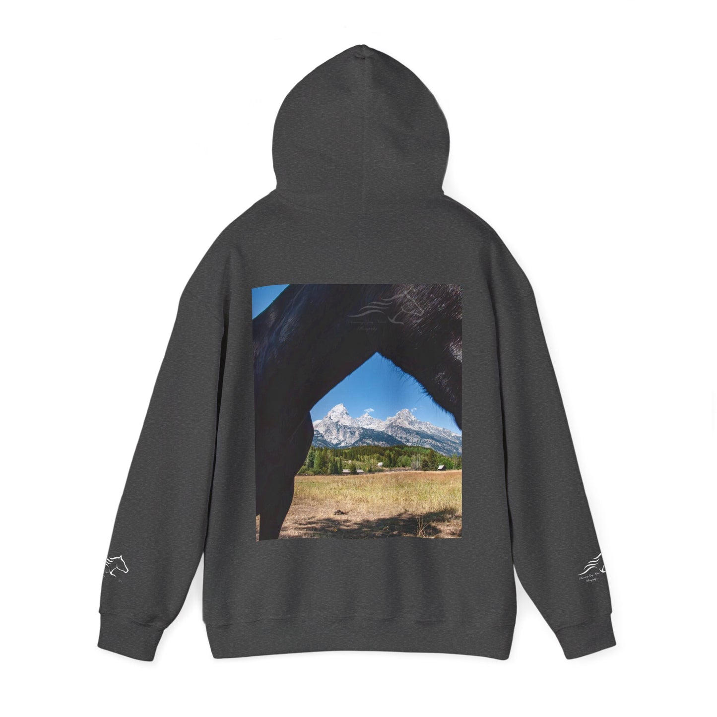 Mountain View Hoodie