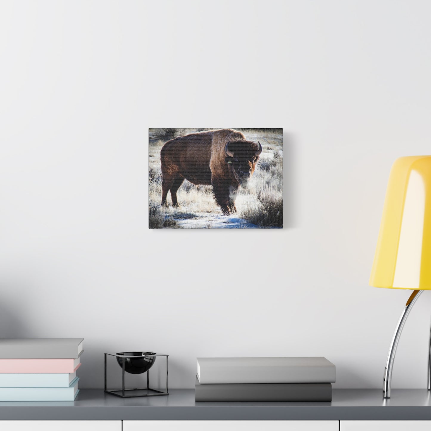 Early Morning Buffalo Canvas