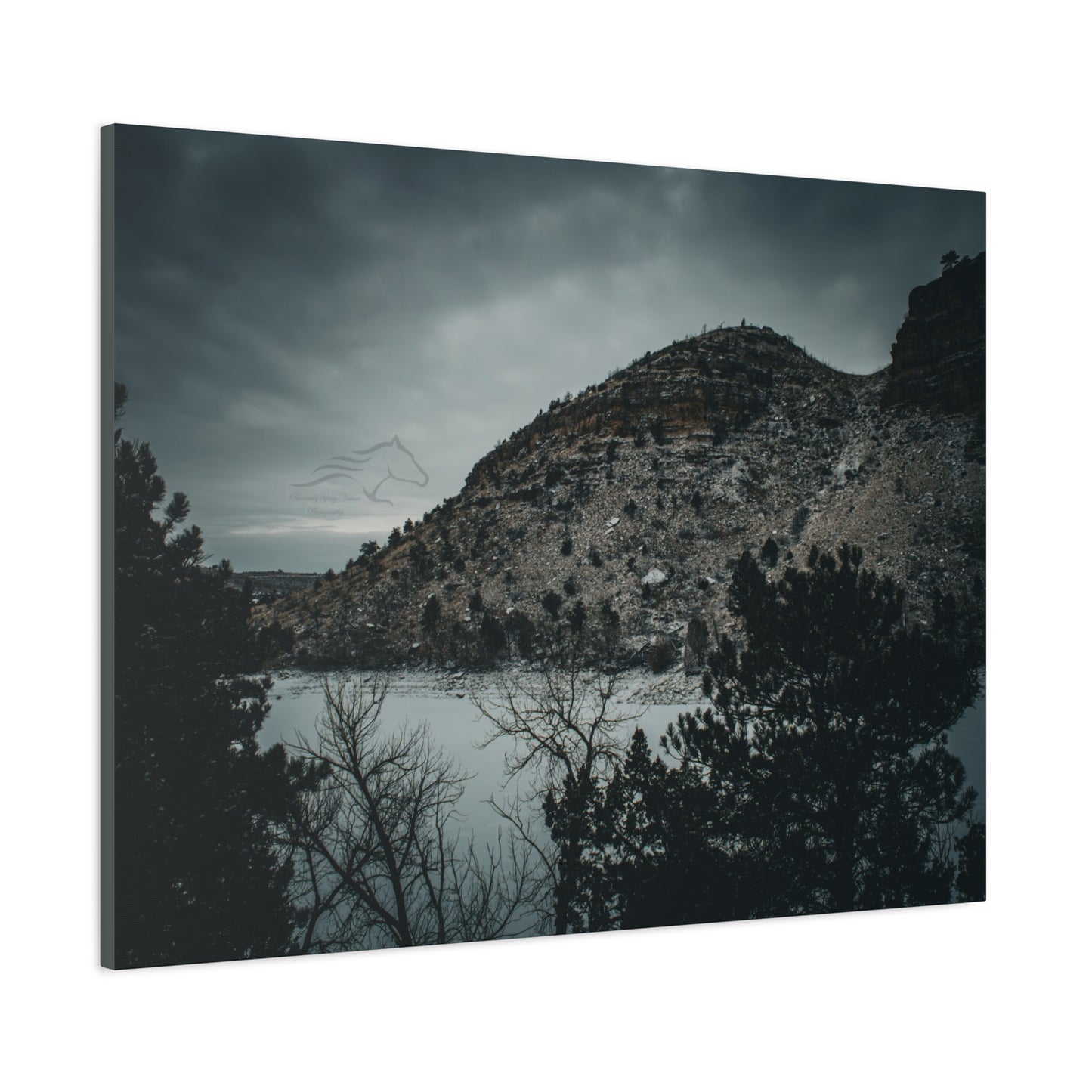 Moody Landscape Canvas