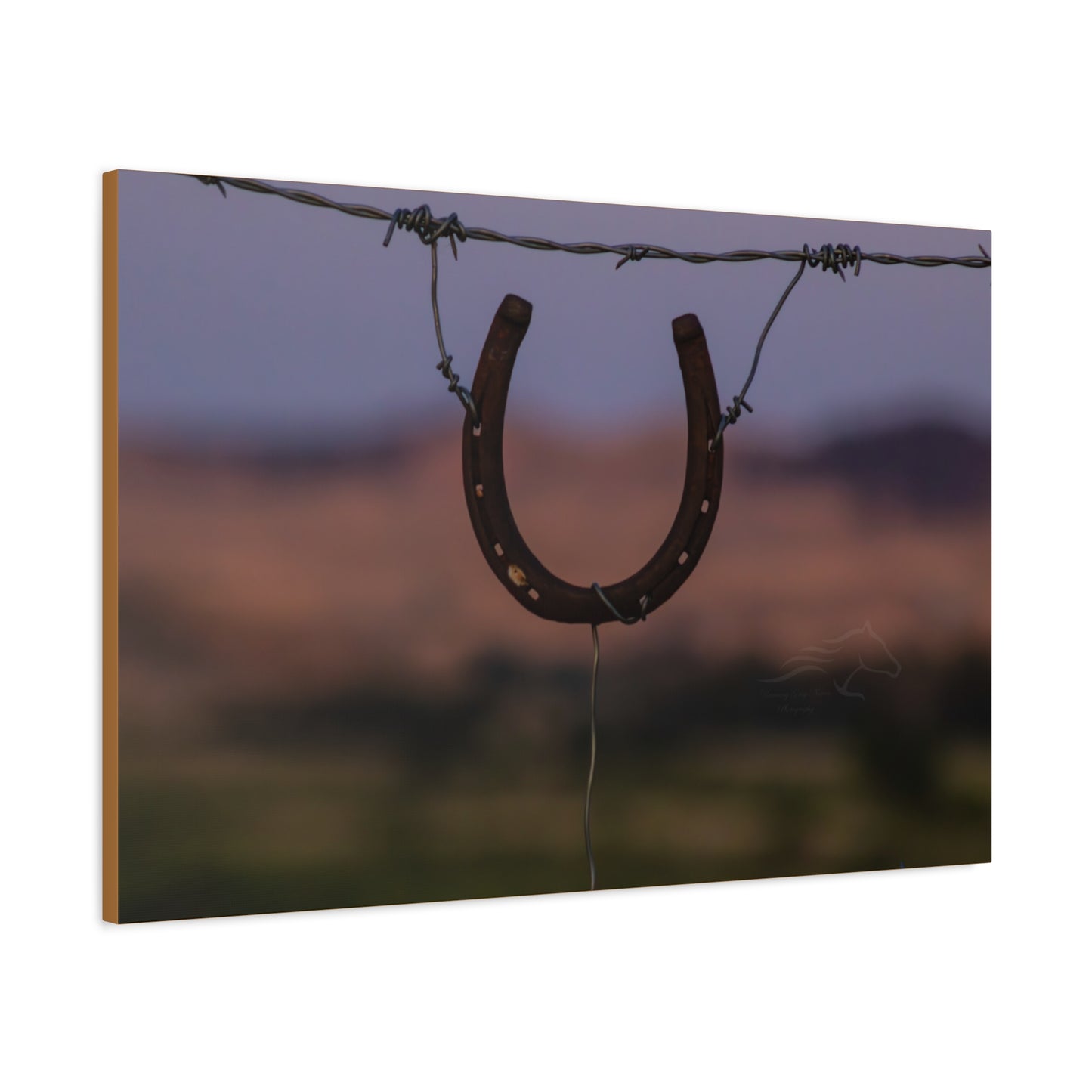 Rustic Horseshoe Canvas