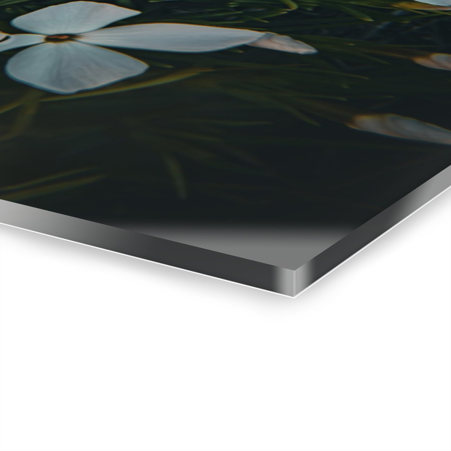 Rock Jasmine Acrylic