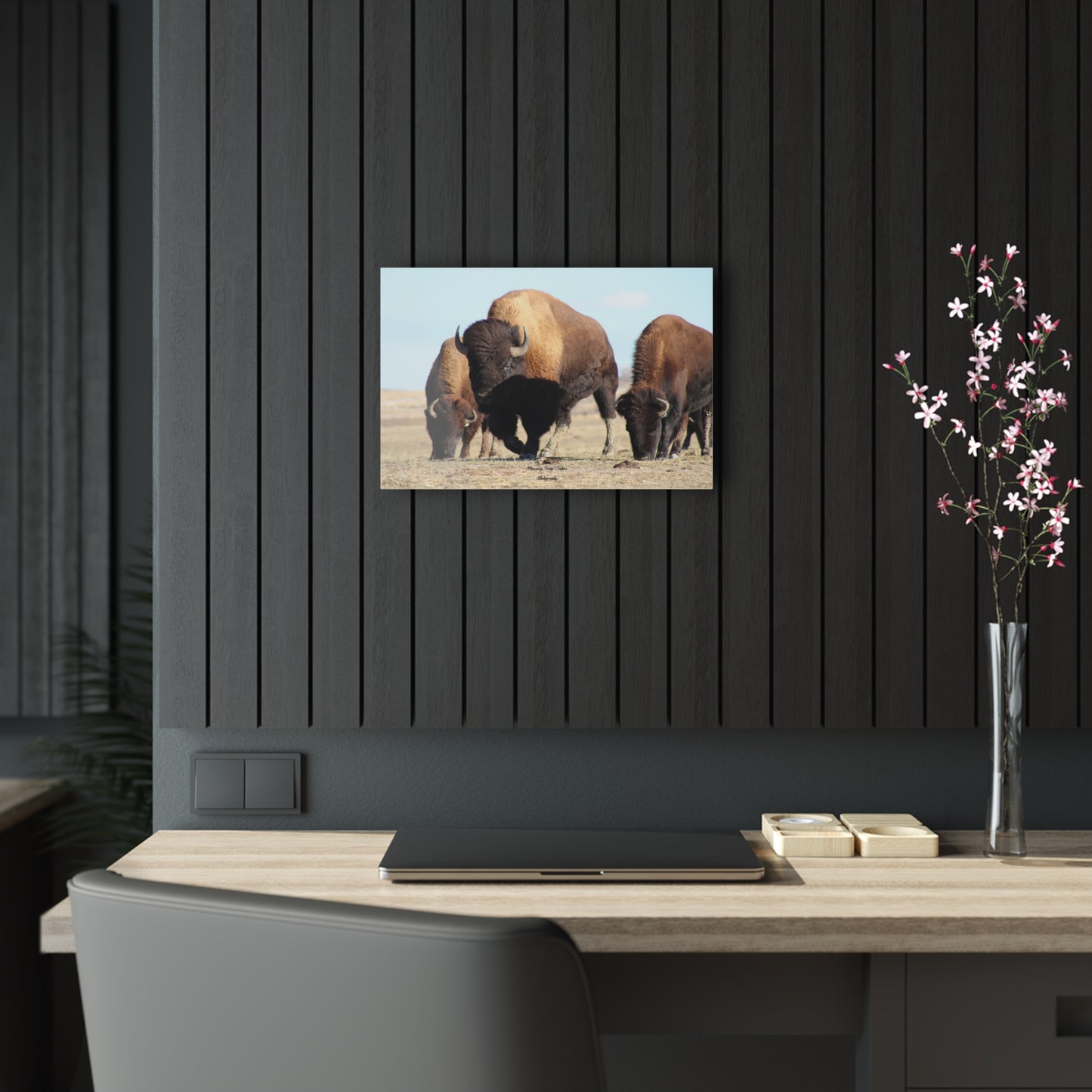 Buffalo Herd Acrylic Prints