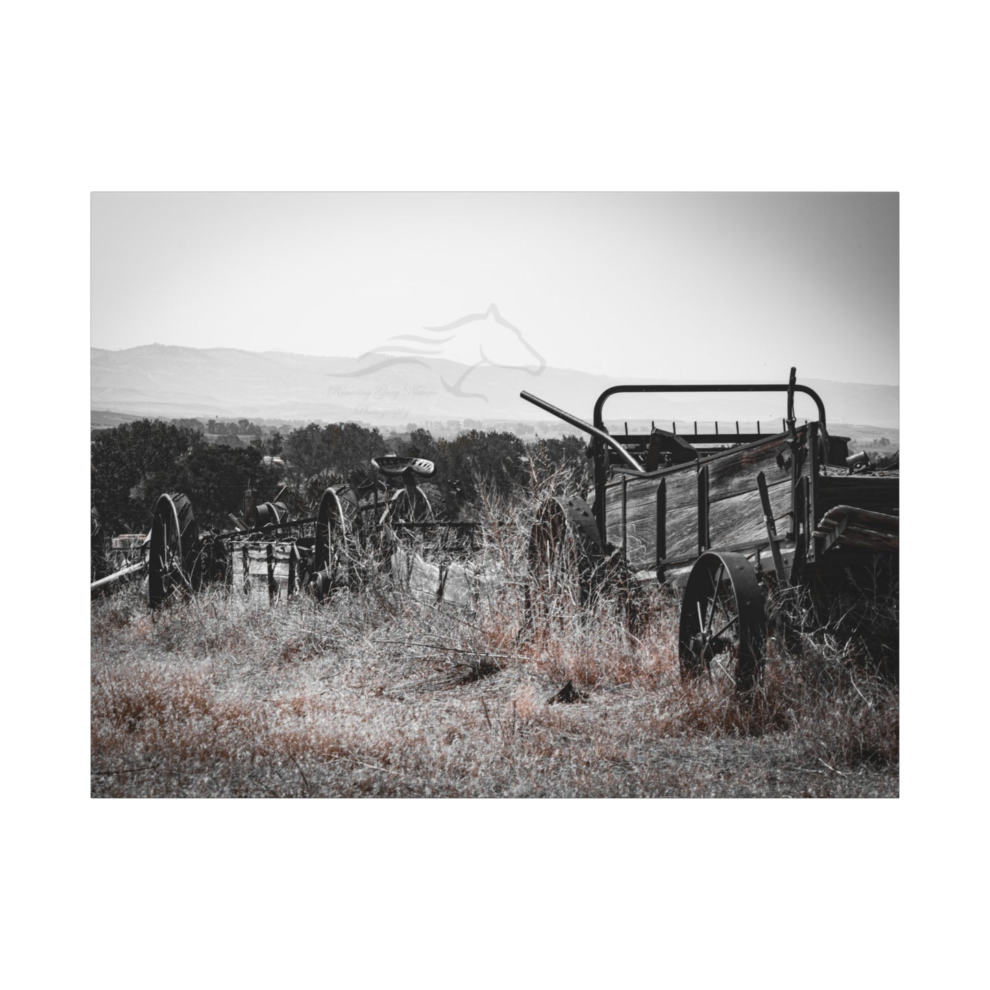 Rustic Black and White Wagon Canvas