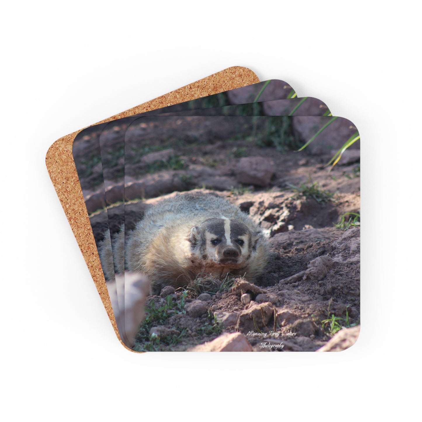 Badger Coaster