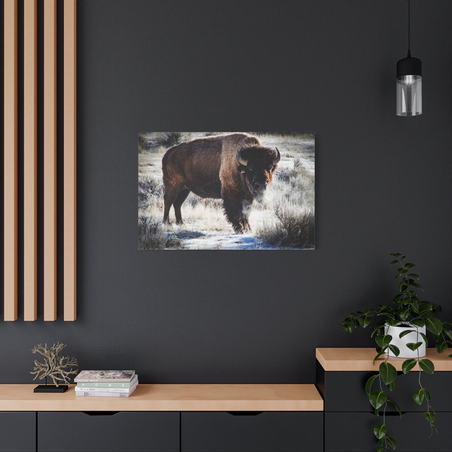 Early Morning Buffalo Canvas