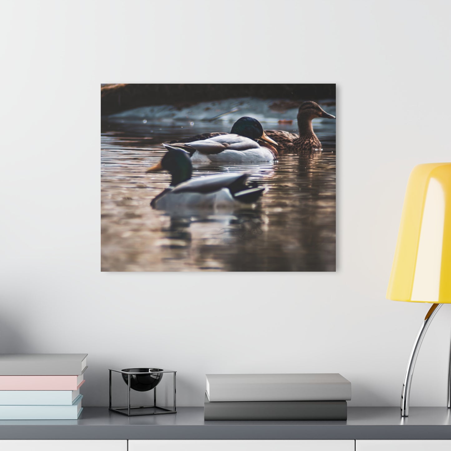 Mallard Ducks Acrylic