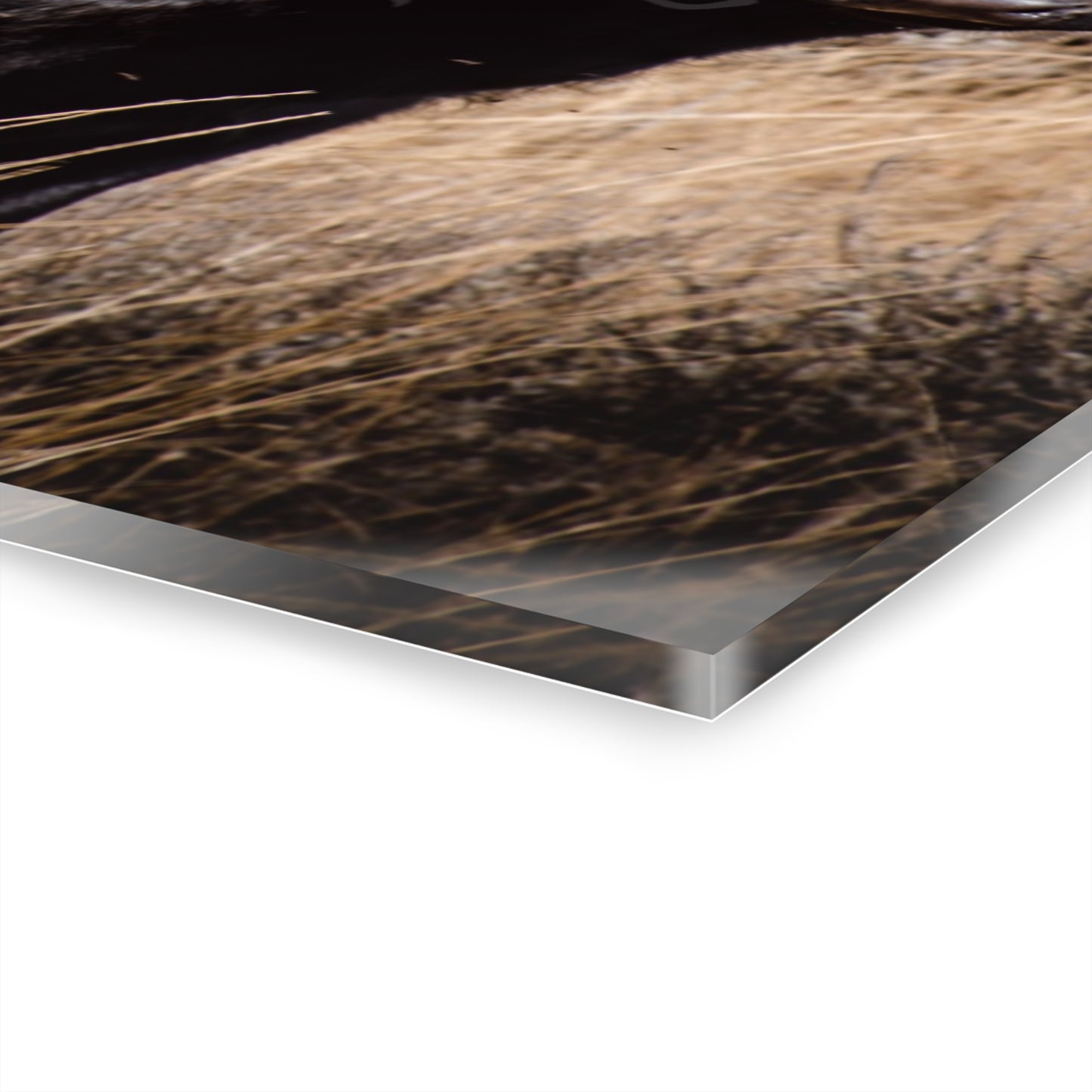 Baby Blonde Calf Acrylic