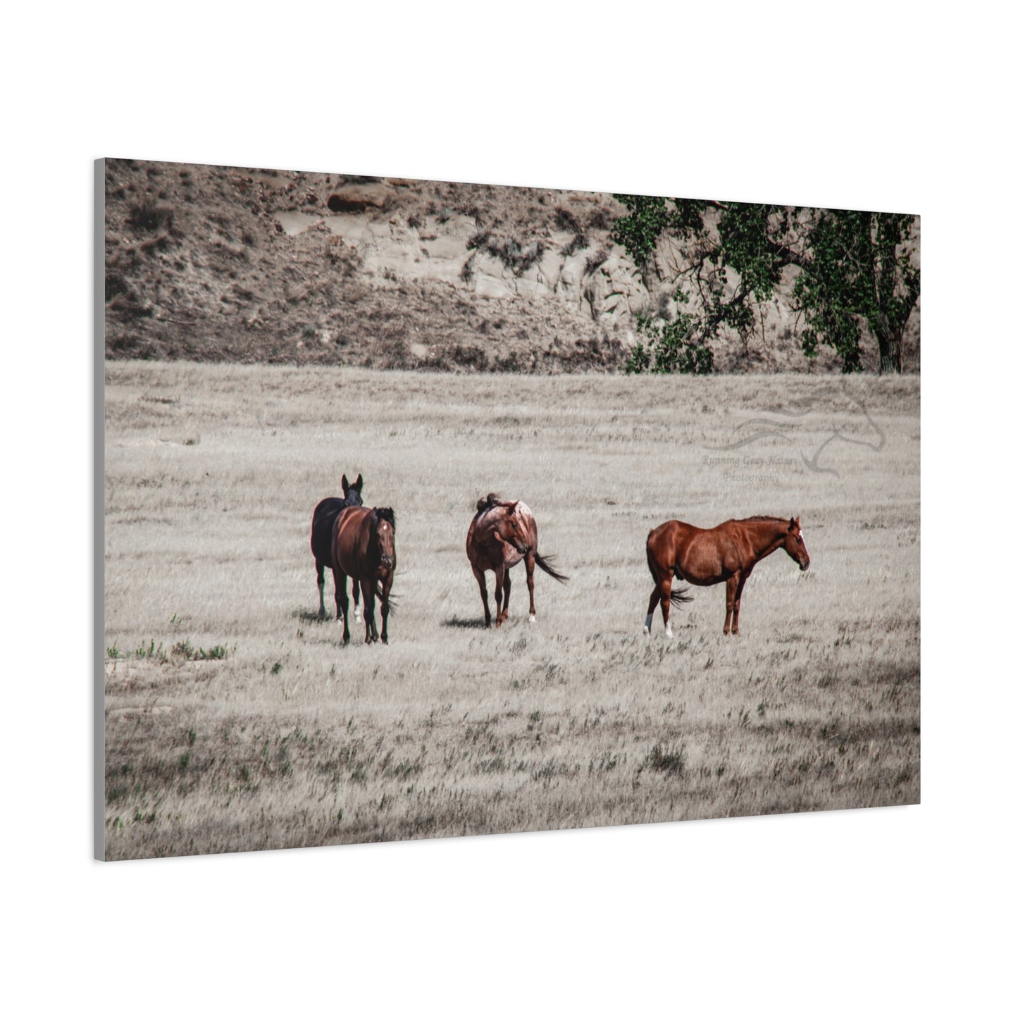 Not everything is Black and White