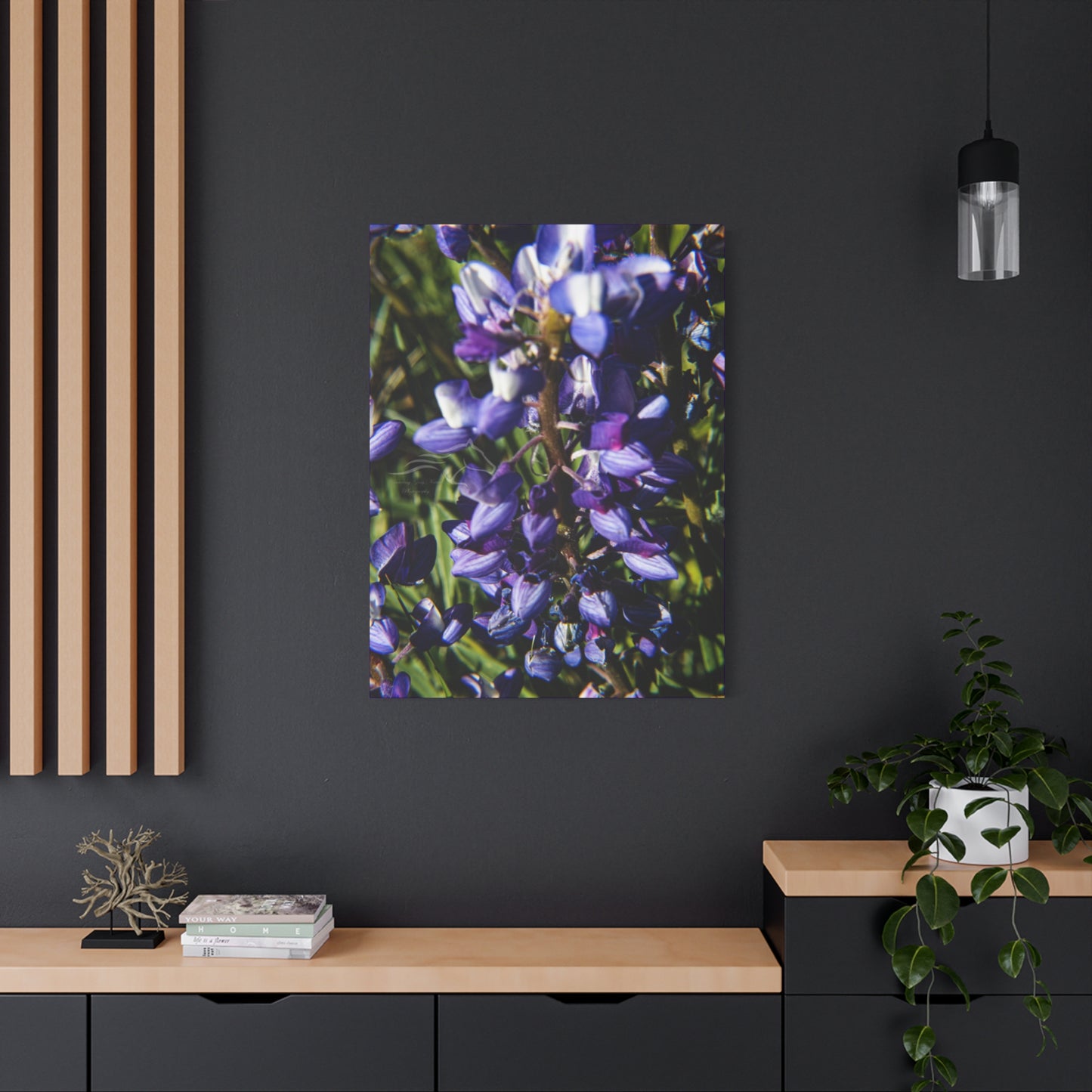 Arctic Lupine Canvas