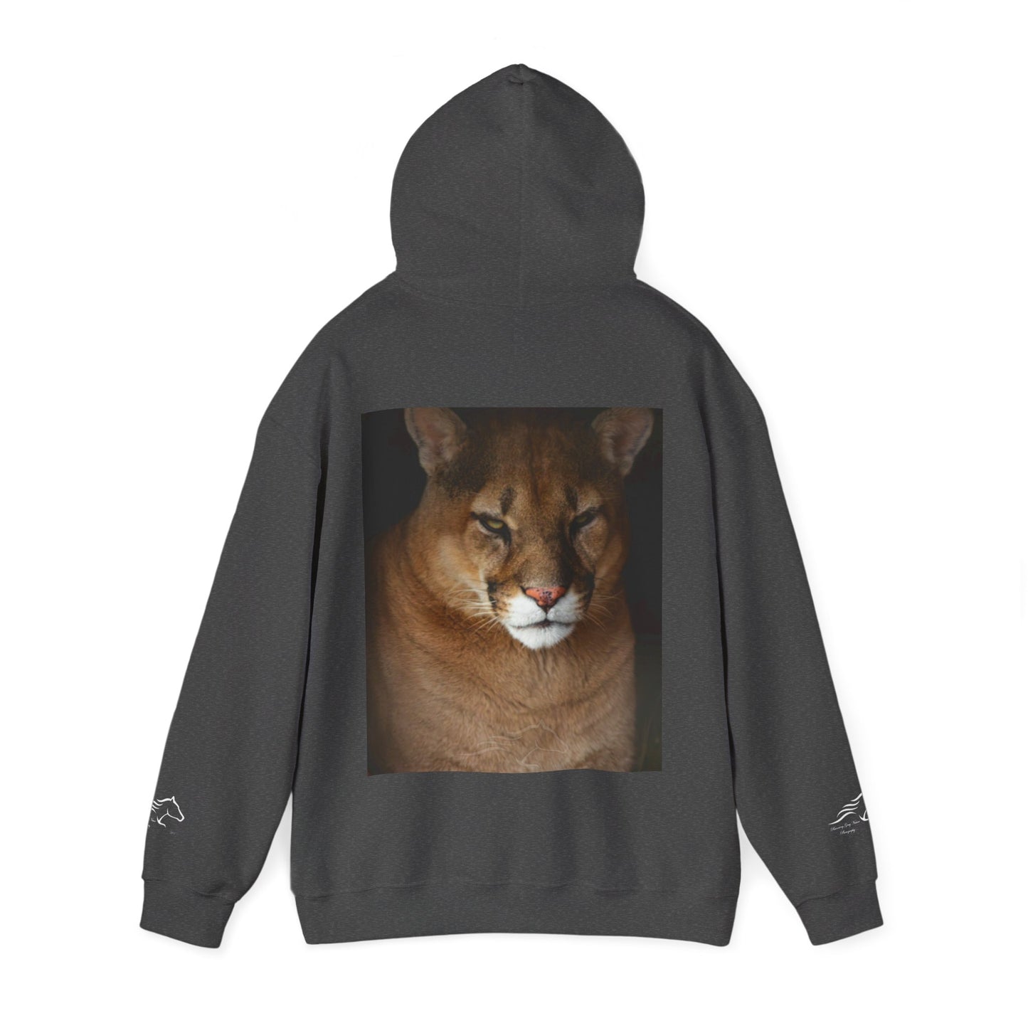 Big Cat Hoodie