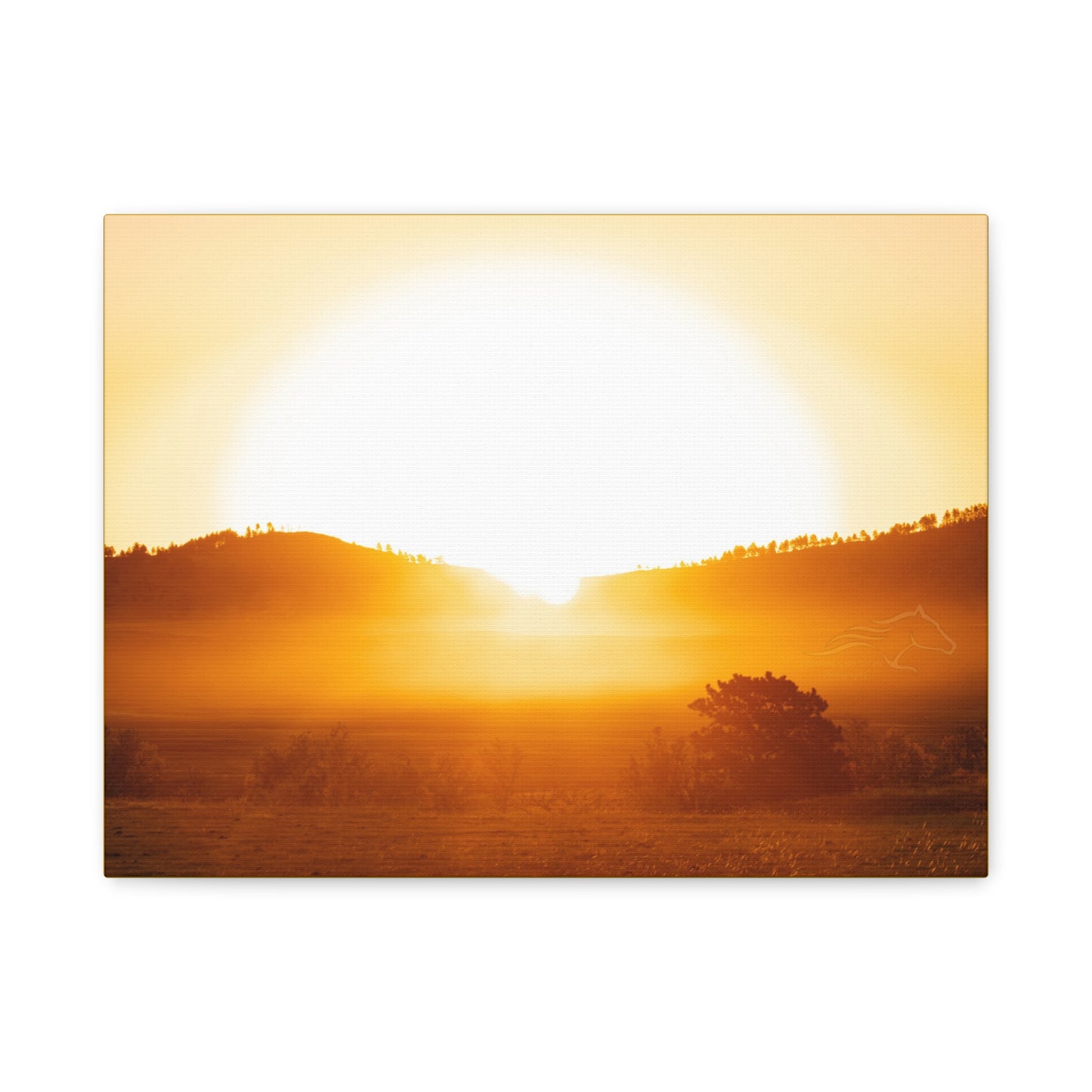 Buffalo Round Up Sunrise Canvas