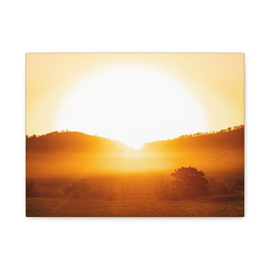 Buffalo Round Up Sunrise Canvas