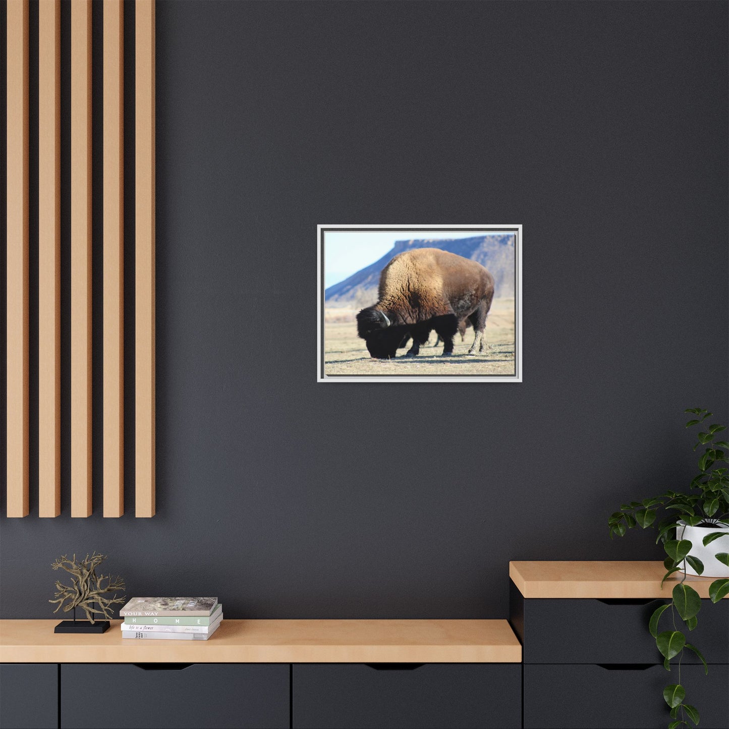 Big Daddy Buffalo Framed Canvas