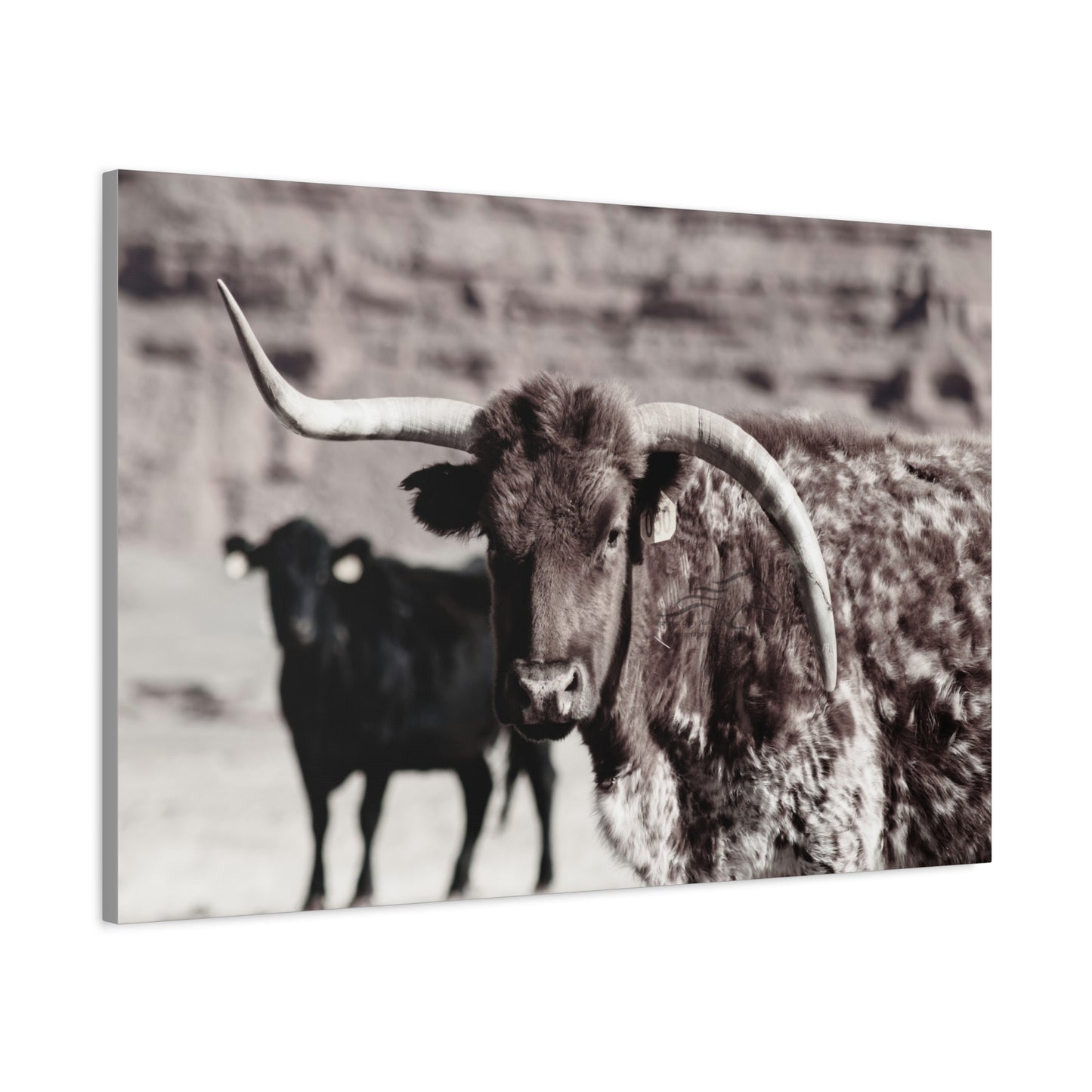 Rustic Longhorn Canvas