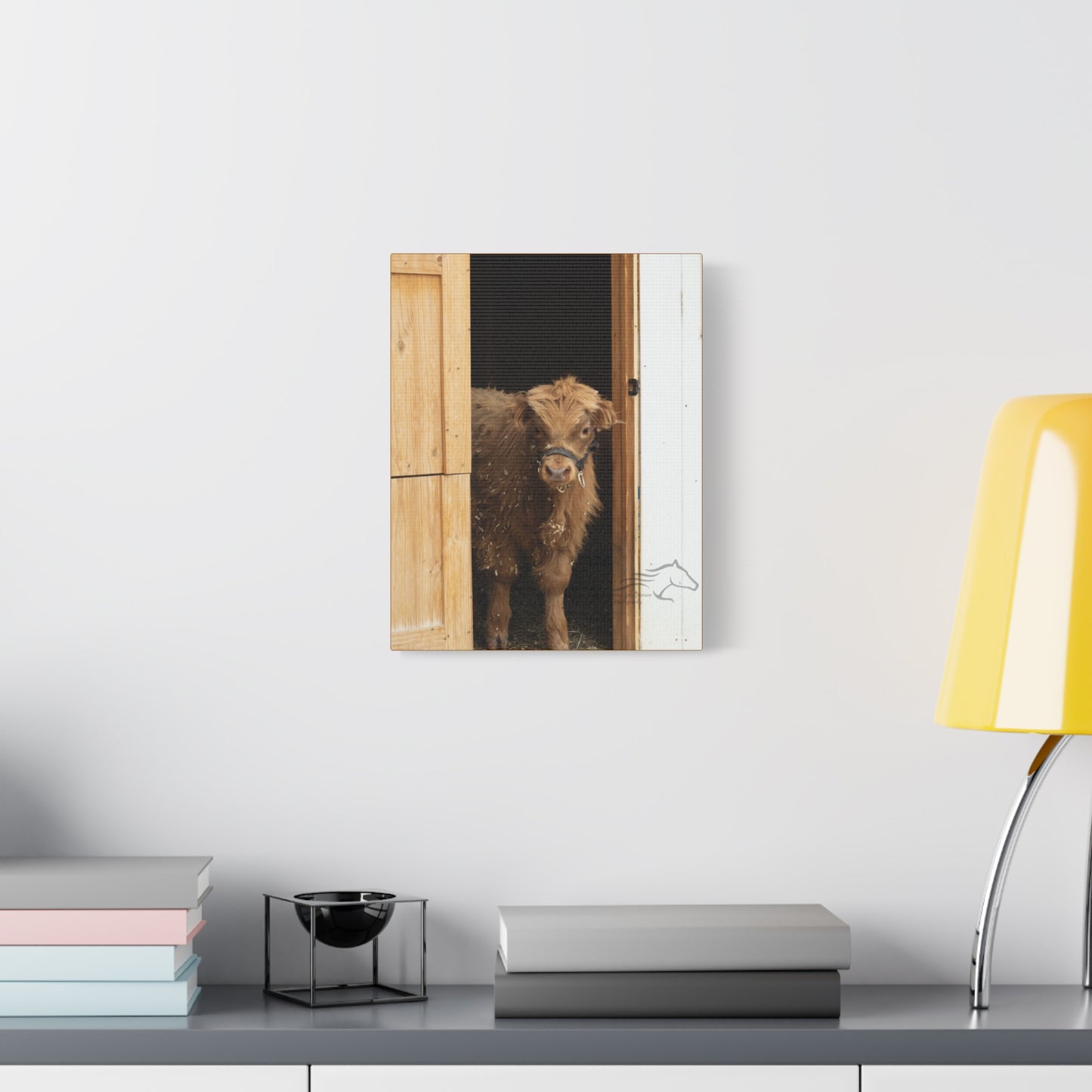 Little Highlander Canvas