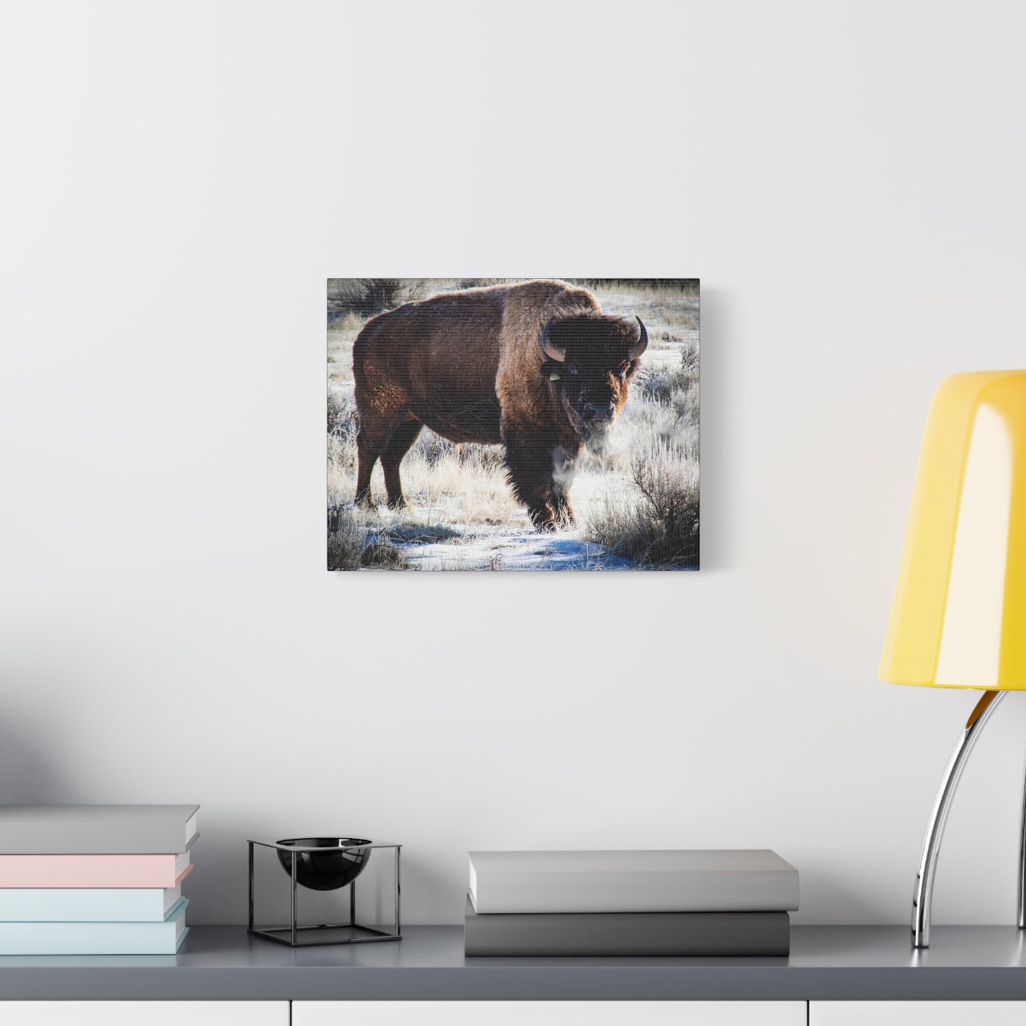 Early Morning Buffalo Canvas