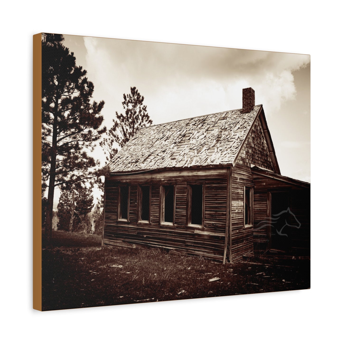 Rustic Bunk House Canvas