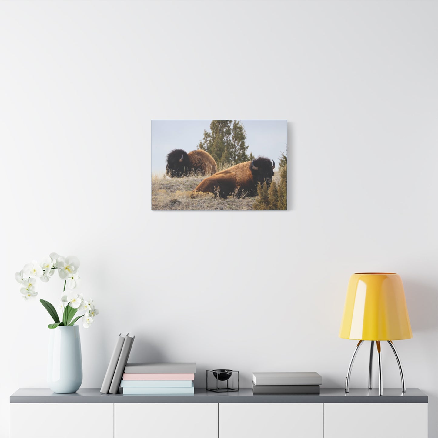 Two Bull Buffalo Canvas