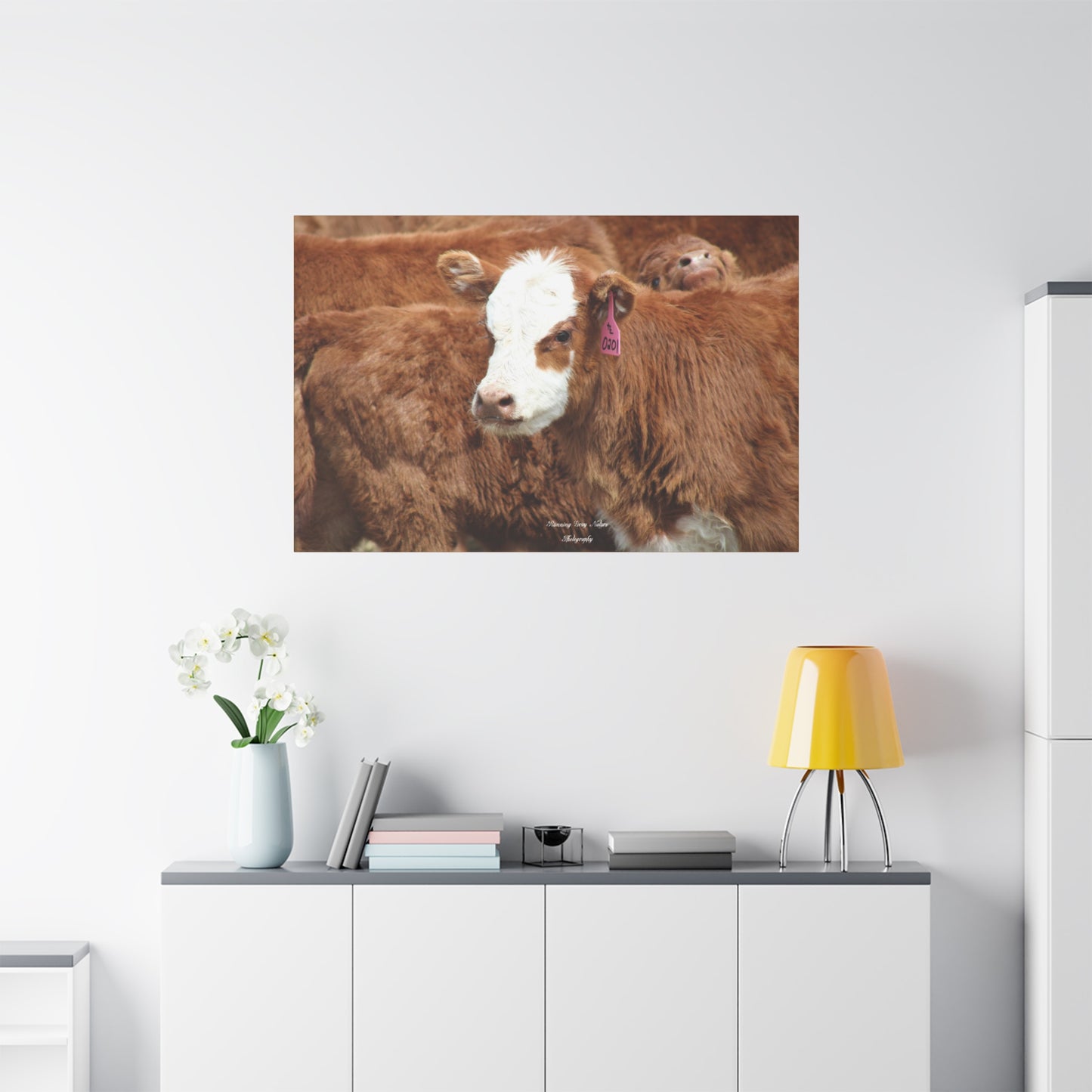 Red, White-Faced Calf Matte Canvas, Stretched, 1.25"