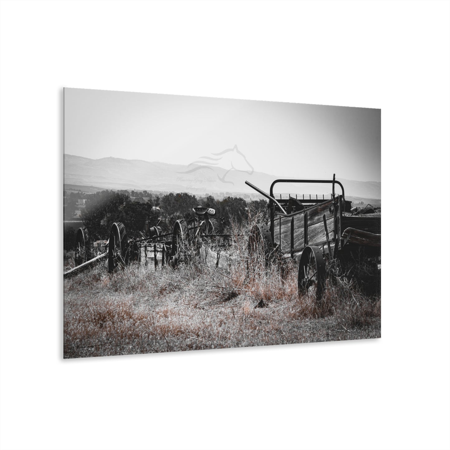 Rustic Black and White Wagon Acrylic
