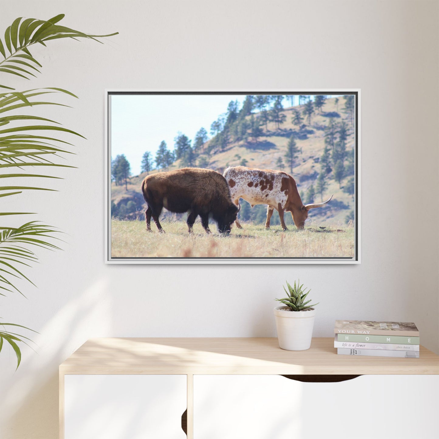 Long Horn and Buffalo Framed Canvas