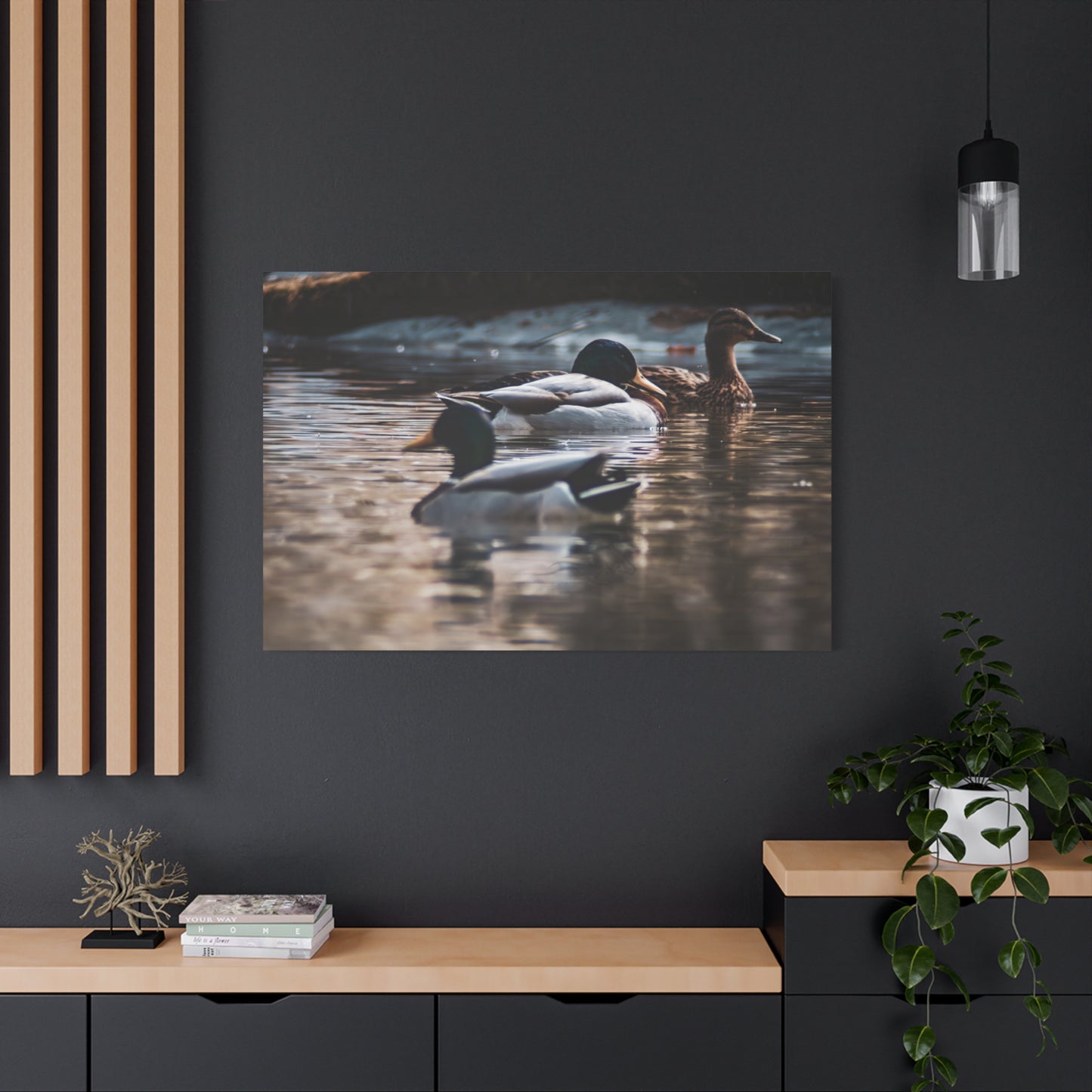 Mallard Ducks Canvas