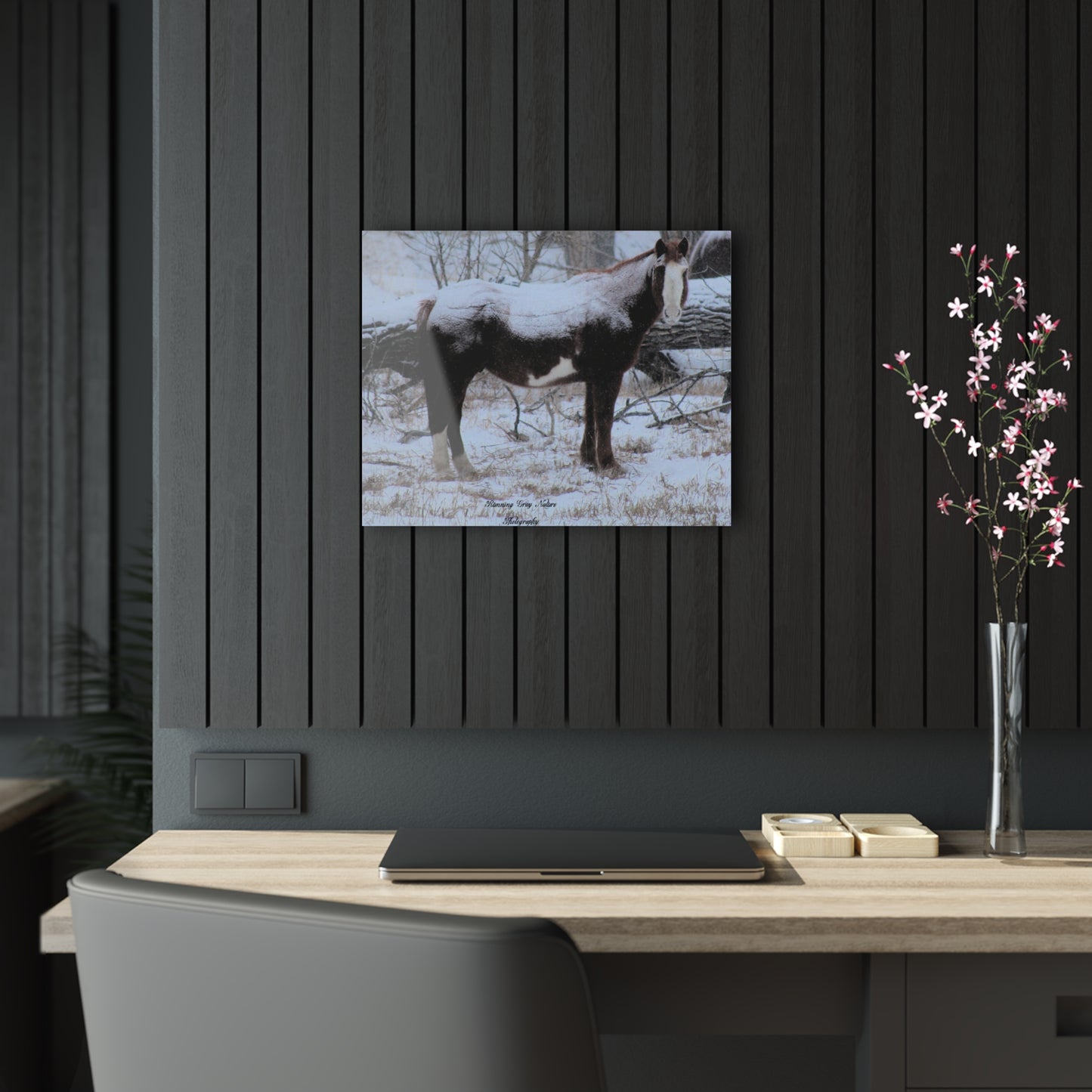 Snow Blanket Horse Acrylic Prints