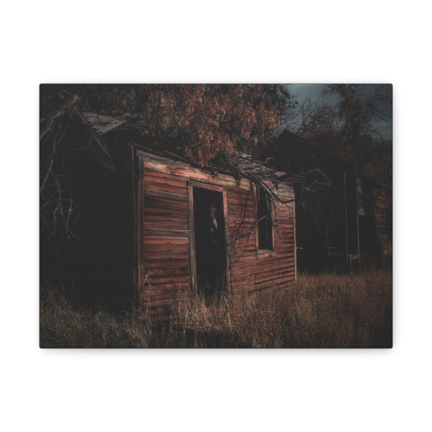 Haunting Rustic Canvas