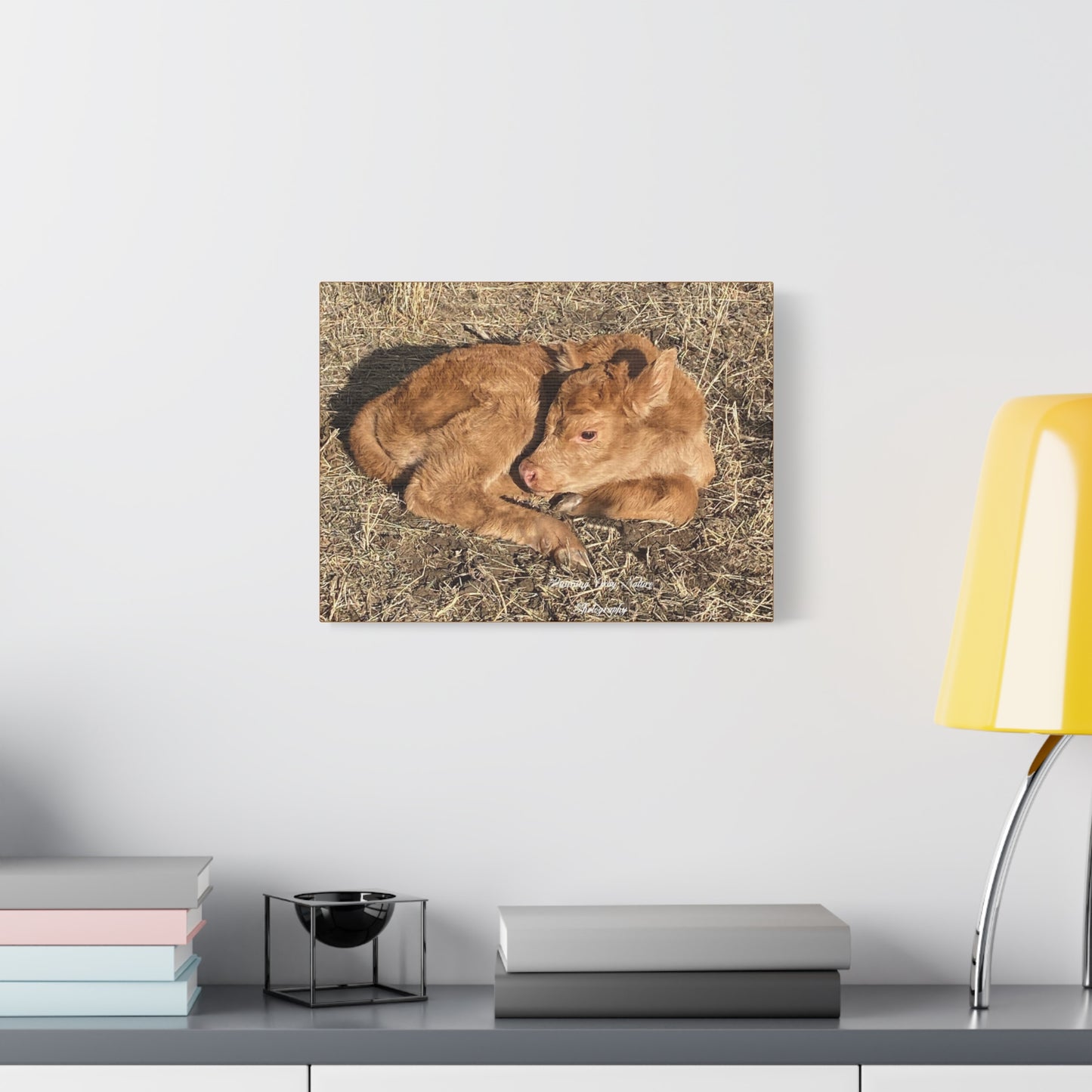 Baby Calf Matte Canvas, Stretched, 1.25"