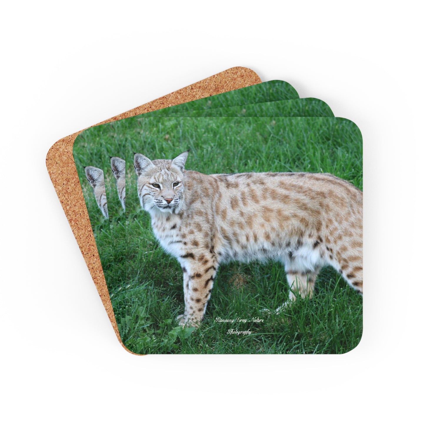 Bobcat Corkwood Coaster Set