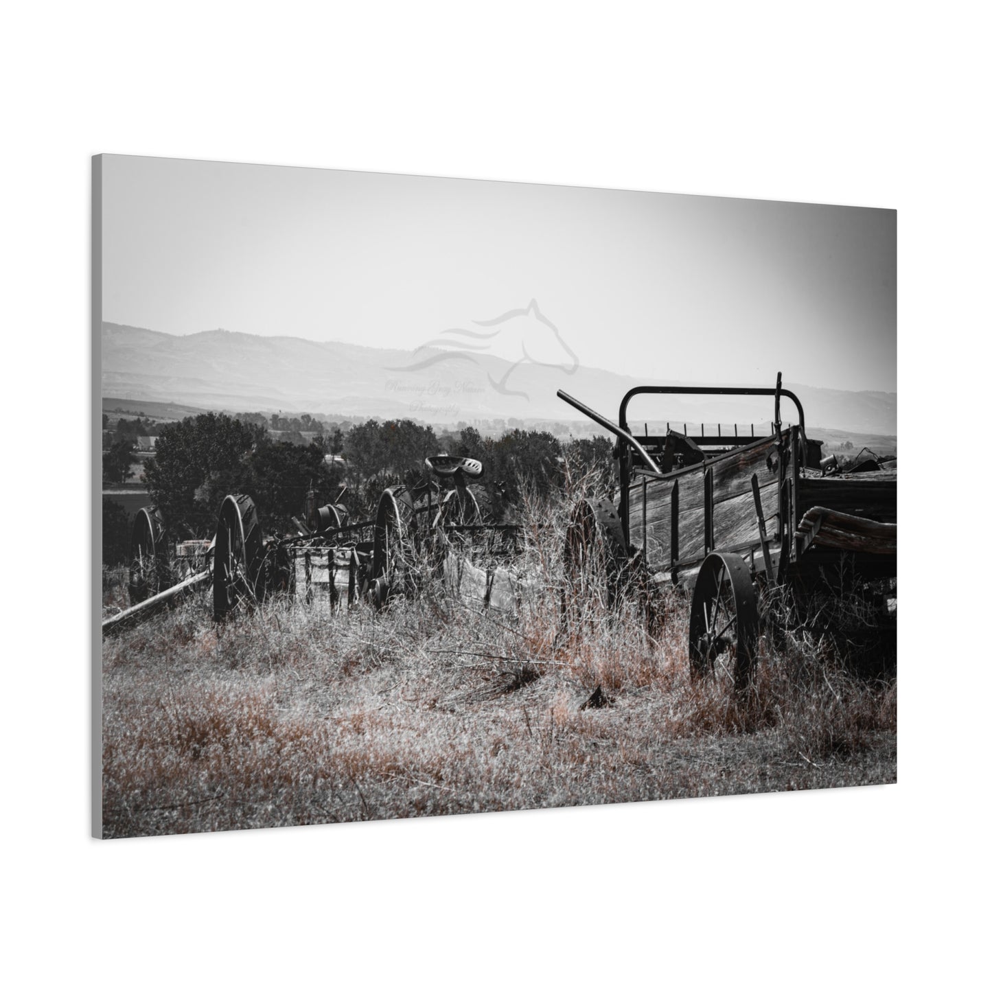 Rustic Black and White Wagon Canvas