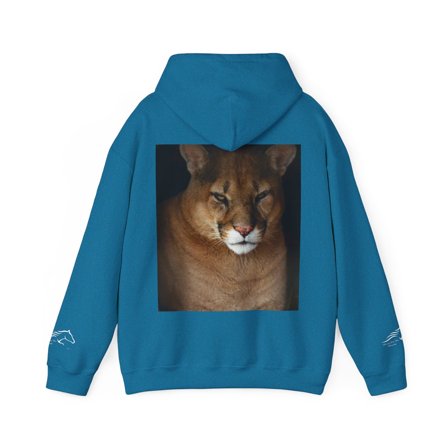 Big Cat Hoodie