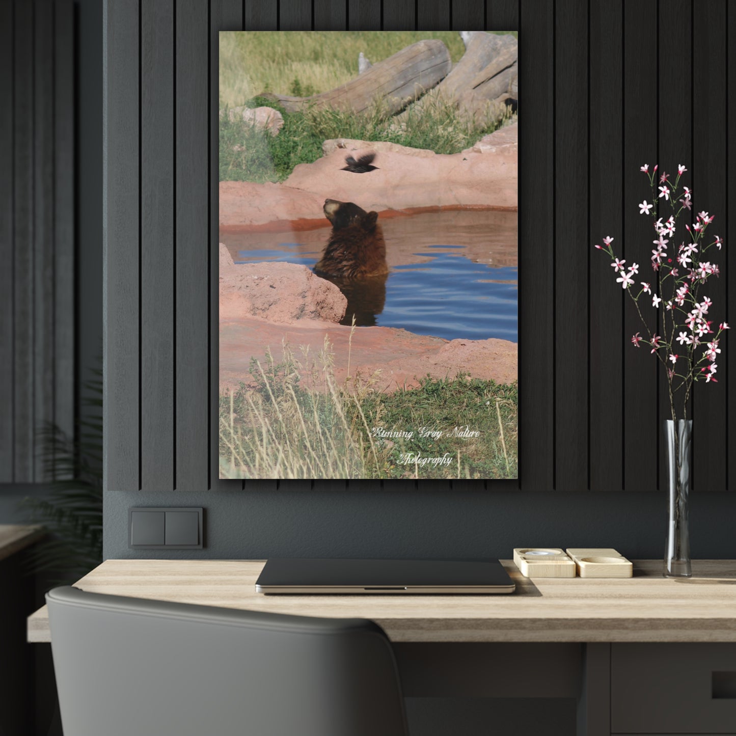 Bird Watching Acrylic Prints