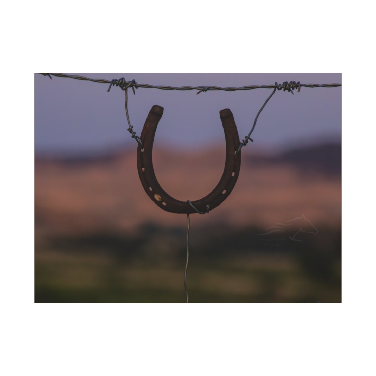 Rustic Horseshoe Canvas